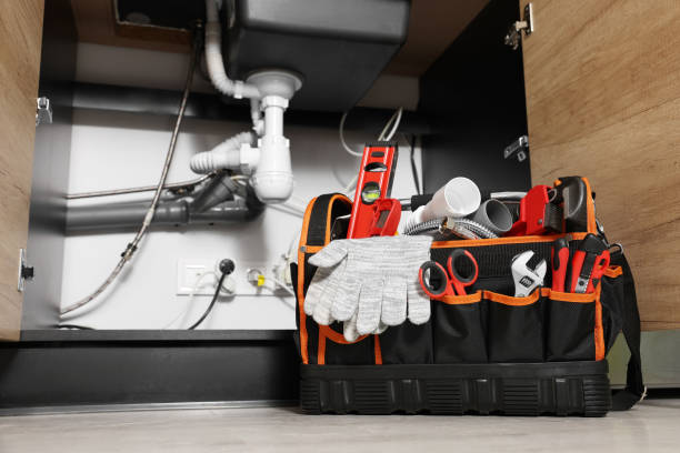 Best Residential Plumbing Services  in Edneyville, NC