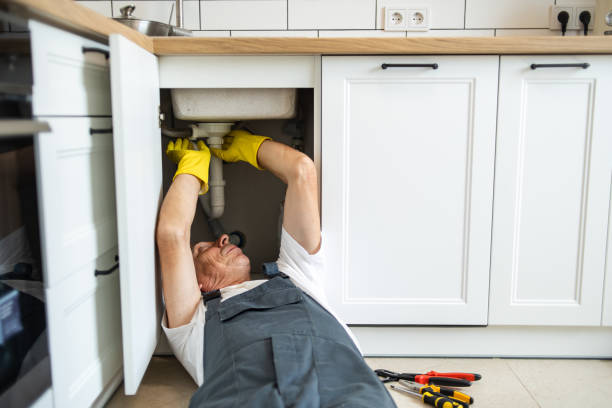Best Toilet Repair Services  in Edneyville, NC